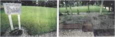 Lege velden op Algemene begraafplaats Harlingen